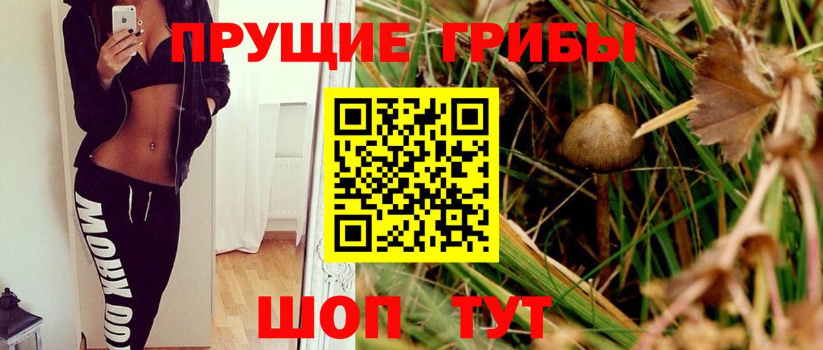 Славянск-на-Кубани  Псилоцибиновые грибы Psilocybine cubensis  Вход с VPN  Псилоцибиновые грибы Psilocybine cubensis 